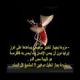 مشاهدة مشاهدة